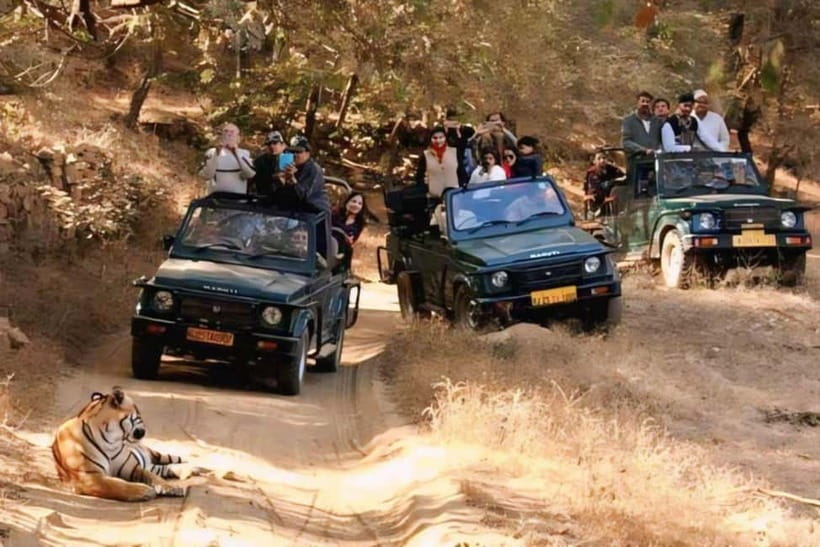 Sawai Madhopur: Ranthambore National Park Guided Jeep Safari - Park Zones and Why Your Assignment Matters