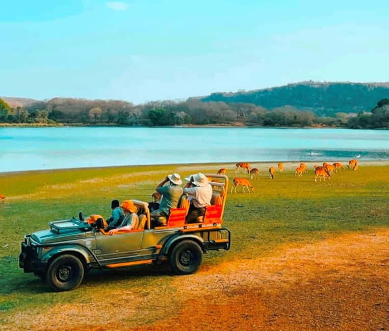 Sawai Madhopur: Ranthambore National Park Guided Jeep Safari - Meeting Point, Pickup, and Return