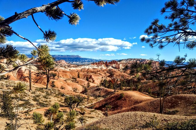 Scenic Tour of Bryce Canyon - Why a guided ride helps at Bryce Canyon