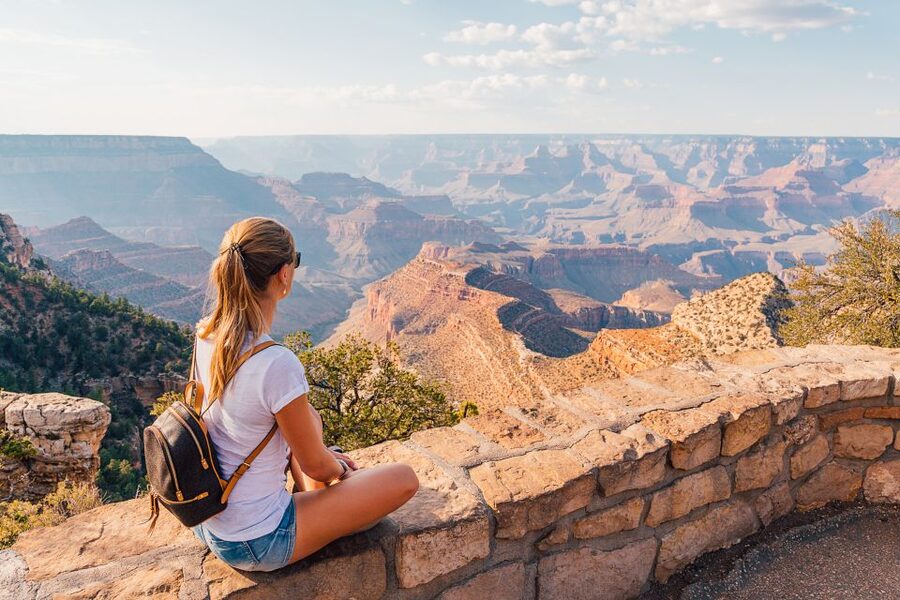 Scottsdale: Grand Canyon National Park and Sedona with Lunch - What the Guide Adds to a Long Driving Day