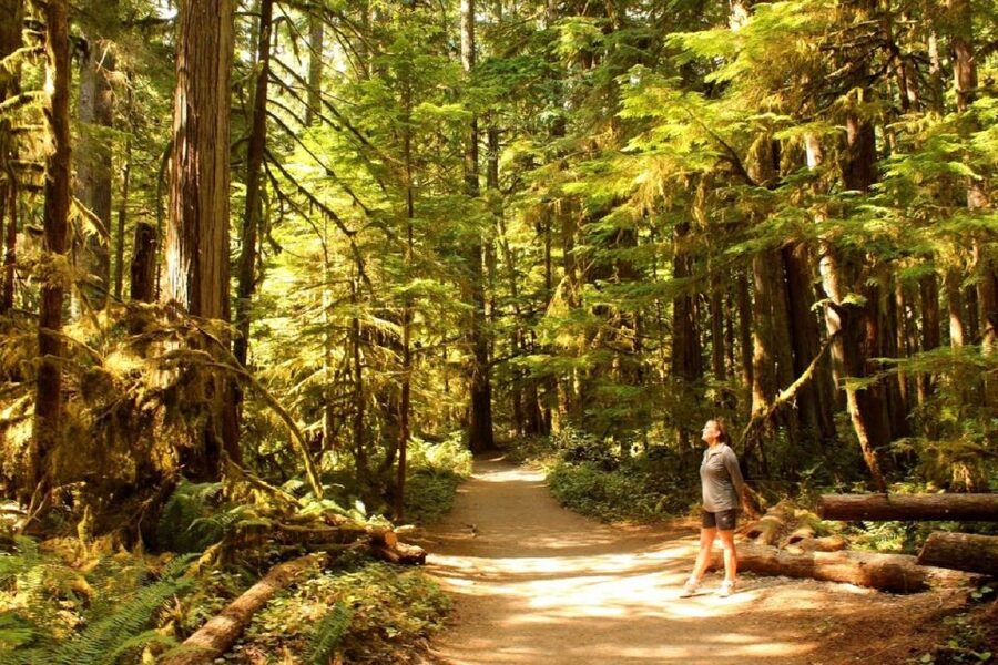 Seattle: Olympic National Park Small-Group Tour - A 7:00 AM Start and a Comfortable Van