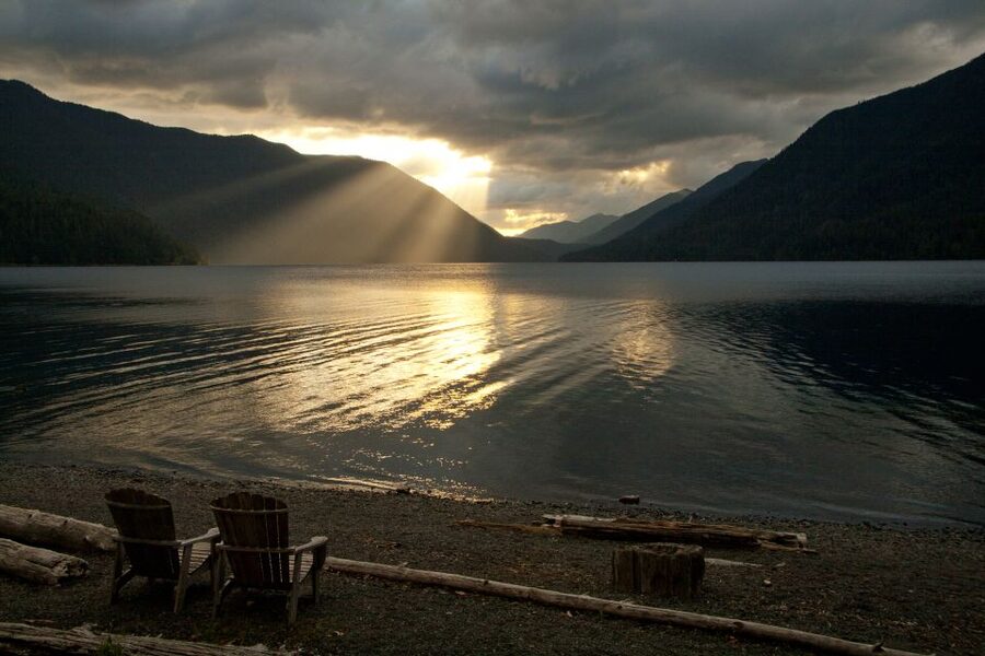 Seattle: Olympic National Park Small-Group Tour - Lunch, Snacks, and the Small Details That Matter