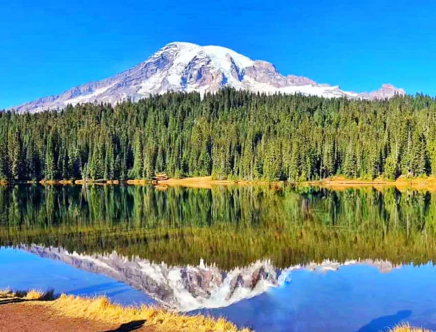 Seattle:Small Group Mount Rainier National Park 1-Day Tour - Pickup across Seattle and Sea-Tac