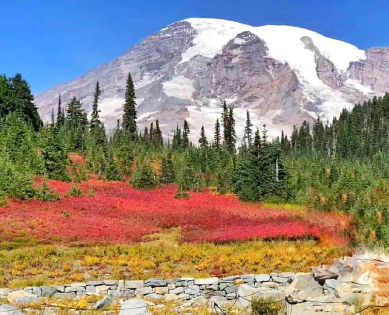 Seattle:Small Group Mount Rainier National Park 1-Day Tour - The winter route and snowshoe option