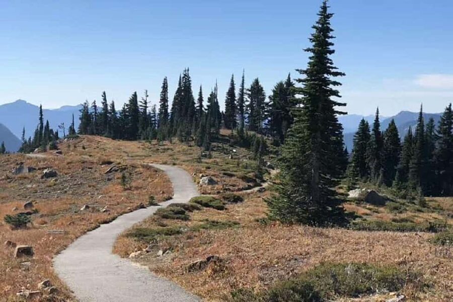 Seattle:Small Group Mount Rainier National Park 1-Day Tour - Who should book this Mount Rainier tour