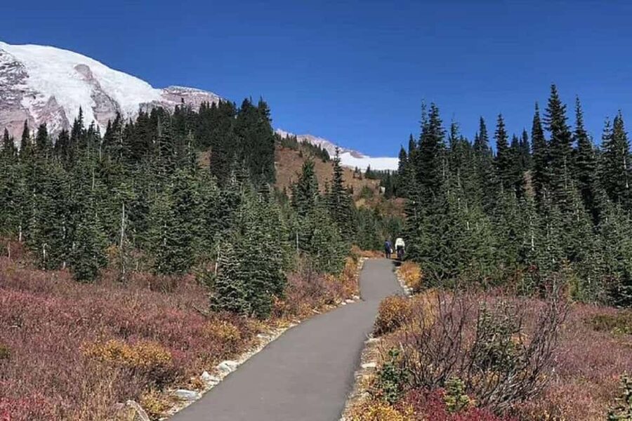 Seattle:Small Group Mount Rainier National Park 1-Day Tour - Is the Seattle to Mount Rainier day trip worth booking?