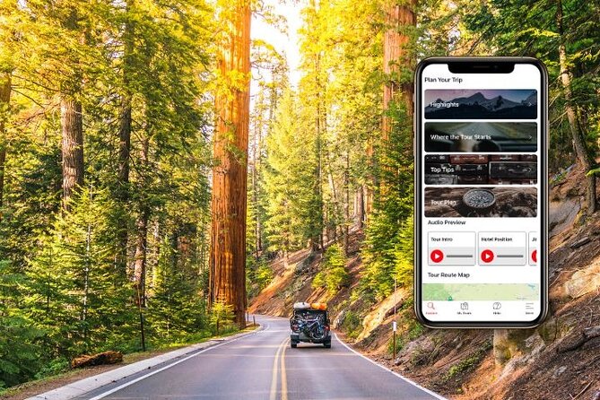 Self-Guided Audio Driving Tour in Sequoia and Kings Canyon - Key Points for Your Park Day
