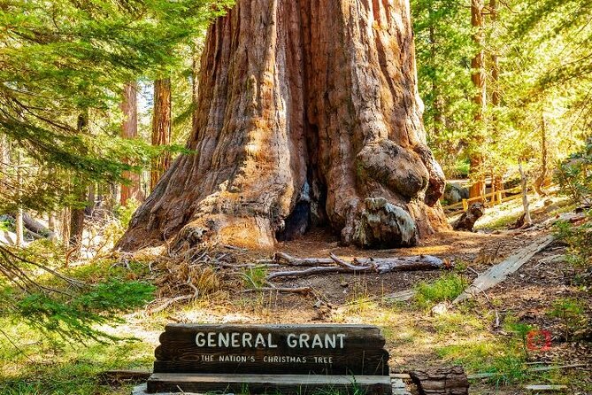 Self-Guided Audio Driving Tour in Sequoia and Kings Canyon - Hospital Rock and the Climb to Moro Rock