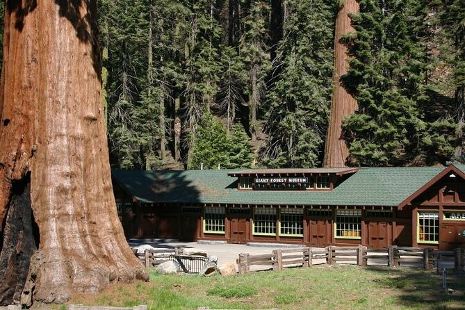 Self-Guided Audio Driving Tour in Sequoia and Kings Canyon - Waterfalls, Meadows, and Cedar Grove