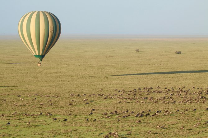 Serengeti Balloon Safari and authentic bush breakfast - Grumeti River and Kiwarira from June through October