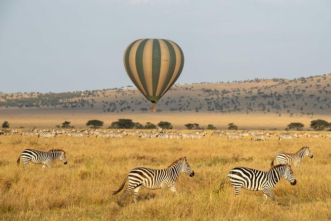 Serengeti Balloon Safari and authentic bush breakfast - The bush breakfast is more than a quick meal