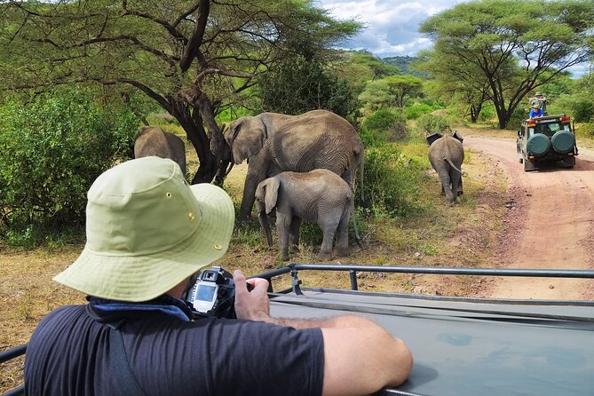 Serengeti & Ngorongoro fly in safari - Key points to know before you book