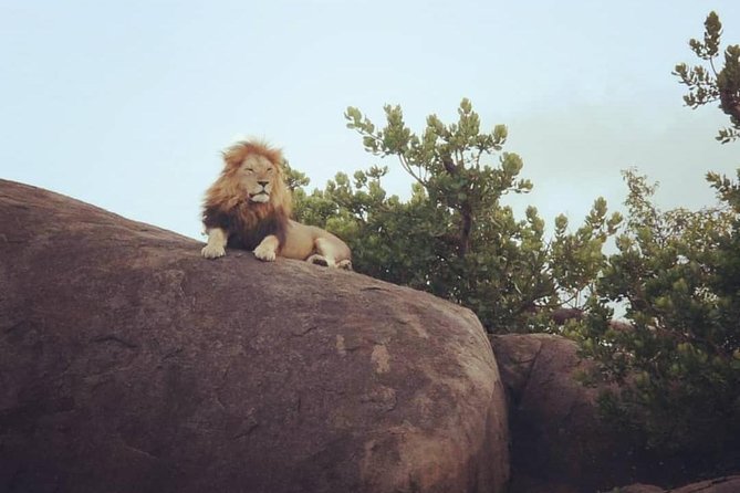 Serengeti & Ngorongoro fly in safari - What the $2,750.77 price really covers