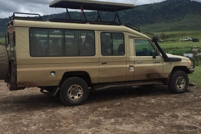 serengeti, ngorongoro & tarangire 5days private tour - Comfort, accommodation, and the questions to ask