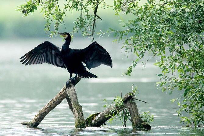 Serenity Cruise to Australia's Everglades - Beer, bubbles, and the easygoing mood