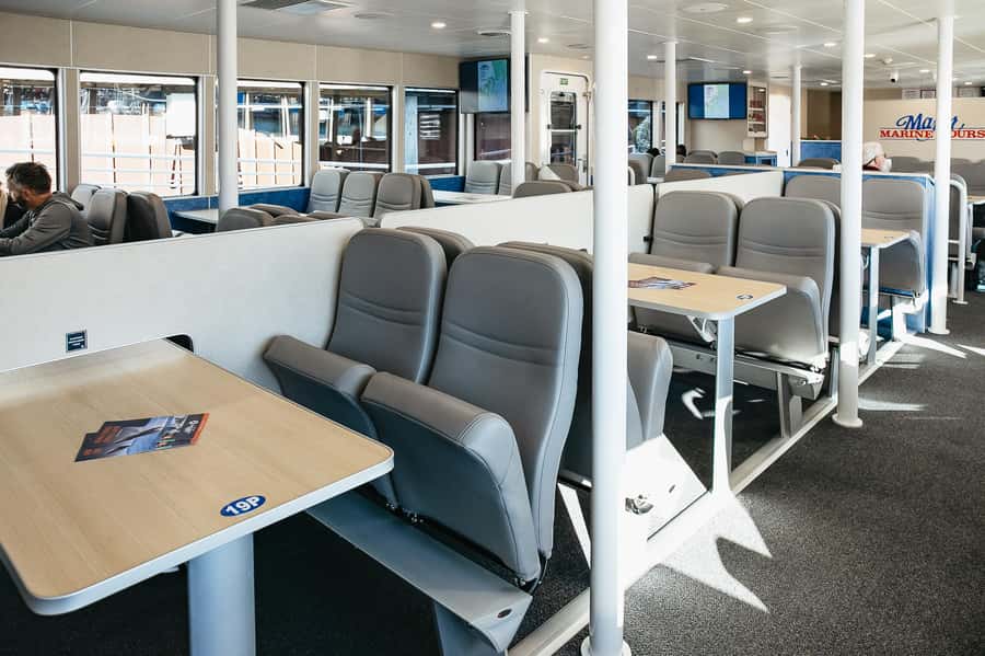 Seward: Kenai Fjords National Park Catamaran Cruise w/Lunch - Who Should Book This Cruise?