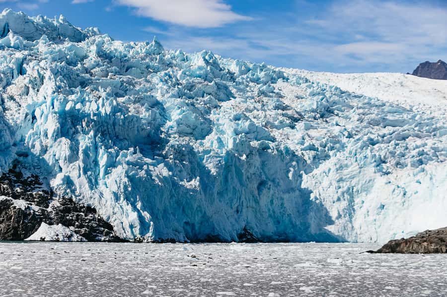Seward: Kenai Fjords National Park Catamaran Cruise w/Lunch - Why This Six-Hour Route Works So Well