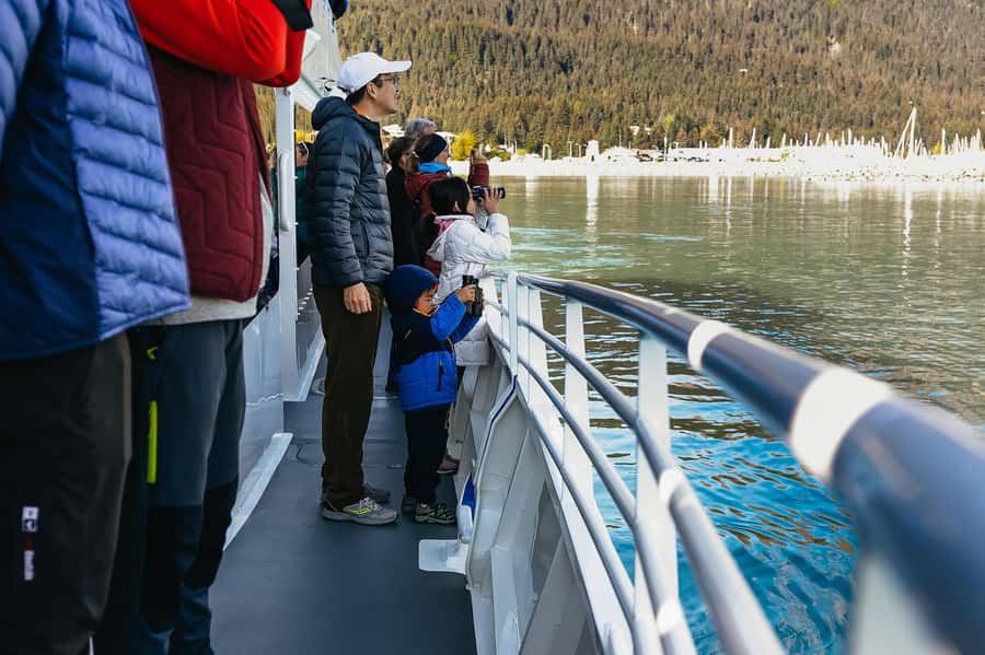 Seward: Kenai Fjords National Park Catamaran Cruise w/Lunch - Reaching the Tidewater Glacier
