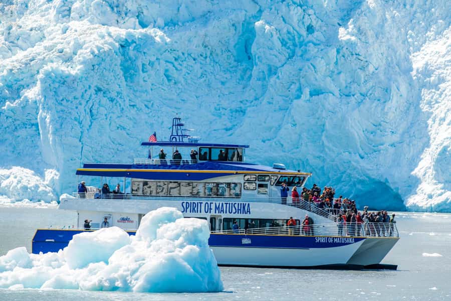 Seward: Kenai Fjords National Park Catamaran Cruise w/Lunch - Checking In at Seward Harbor