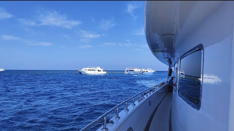 Sharm El-Sheikh: Luxury Ras Mohammed & White Island Cruise - Timing, price, and who gets the best value