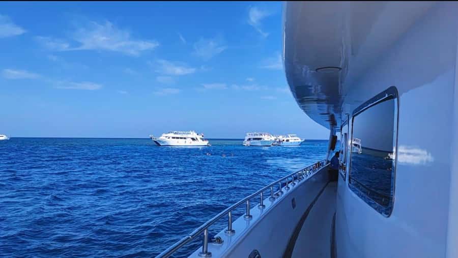 Sharm el-Sheikh: Premium Ras Mohammed & White Island Cruise - What $30 really gets you
