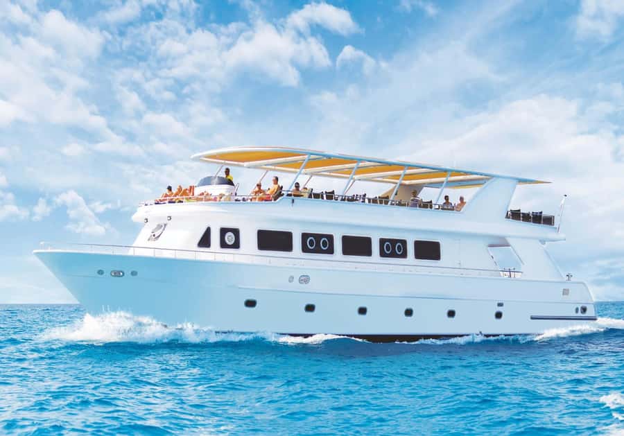 Sharm el-Sheikh: Premium Ras Mohammed & White Island Cruise - The long sail to Ras Mohammed