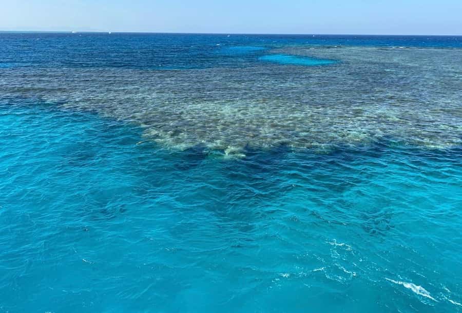 Sharm el-Sheikh: Premium Ras Mohammed & White Island Cruise - The second water session near Ras Mohammed