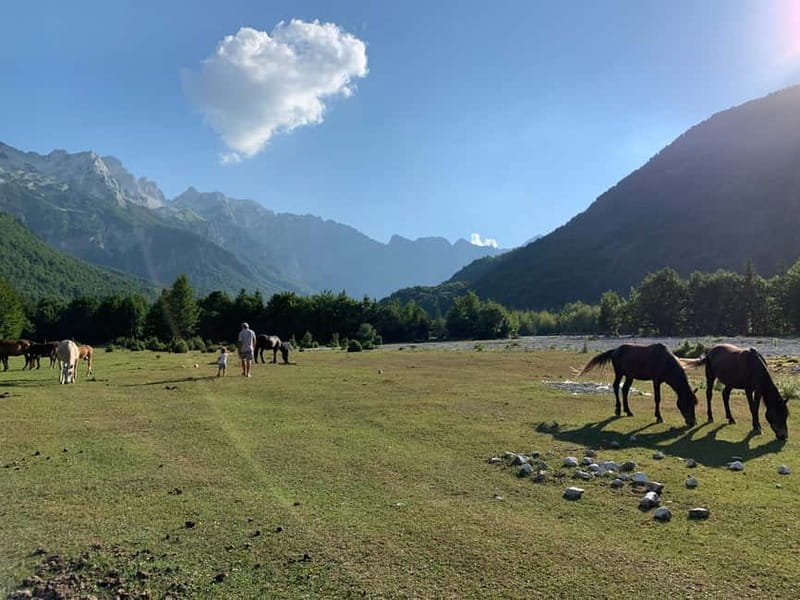 Shkoder: Transfers to Valbona/Theth/Shala River. Both ways. - Reaching Valbona, Theth, or Shala River