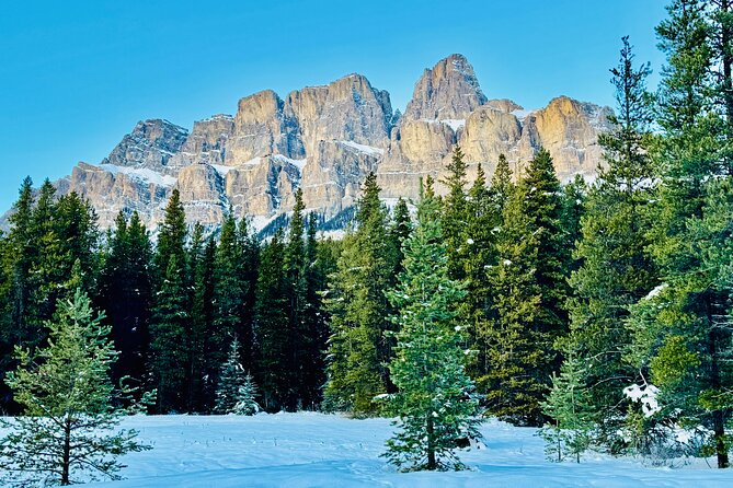 ShuttleBus 2way Banff to Lake Louise (1Hr) and Moraine Lake (1Hr) - Moraine Lake and the Rockpile view