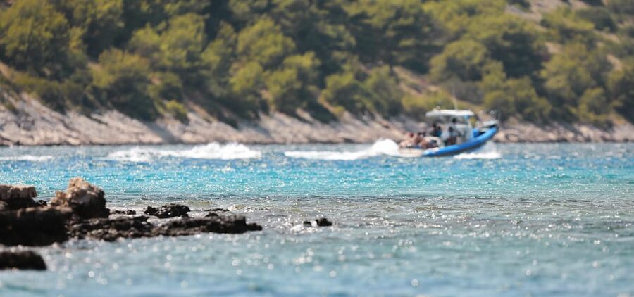 Sibenik: Full-Day Kornati National Park Boat Tour - Lunch at Smokvica, with one price point to watch
