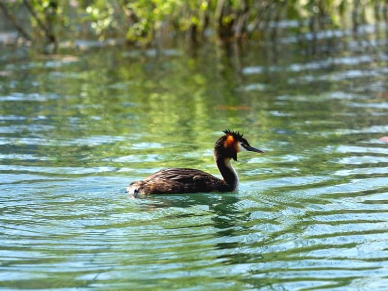 Skadar Lake National Park: Birdwatching & Photography Tour - Fort Lesendro and the wider view