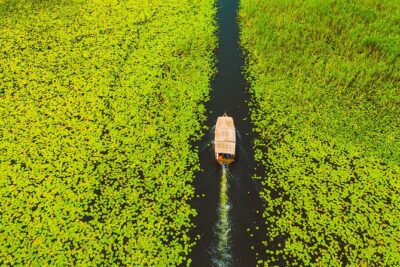 Skadar Lake National Park: Guided Boat Tour to Kom Monastery