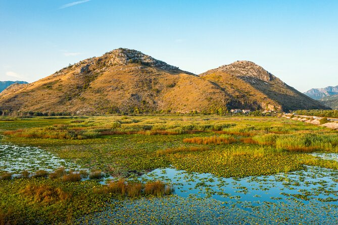 Skadar Lake National Park: Guided Boat Tour with Wooden Boat - The first channels and the view toward Vranjina
