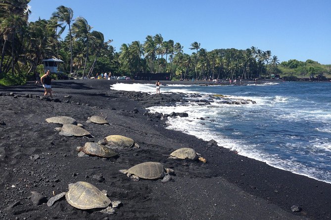 Small-Group Big Island Tour: Hawaii Volcanoes National Park and Kona Coffee Farm - Punaluʻu Beach and the chance to see turtles