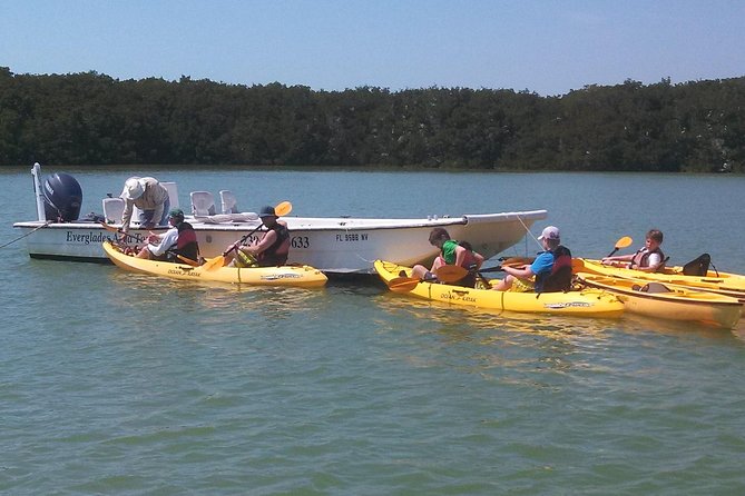 Small Group Boat, Kayak and Walking Guided Eco Tour Everglades - A coastal Everglades trip with three ways to explore