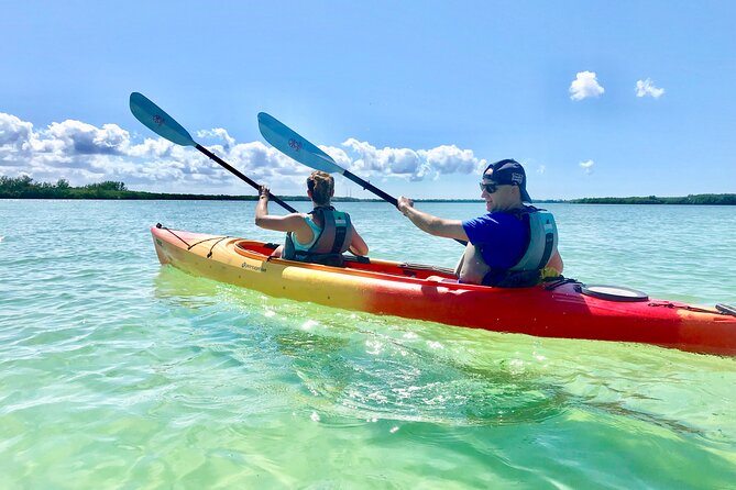 Small Group Kayak Tour of the Shell Key Preserve - Key points to know before booking