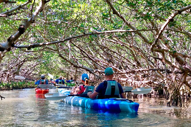 Small Group Kayak Tour of the Shell Key Preserve - Shell Key Preserve gives you a varied paddle