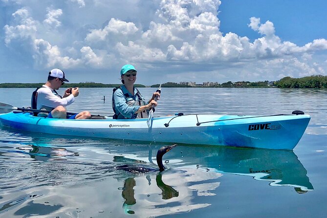 Small Group Kayak Tour of the Shell Key Preserve - Shell Key beach offers time to swim and look for shells