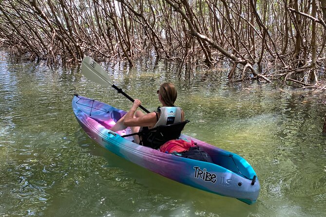 Small Group Kayak Tour of the Shell Key Preserve - Guides make a real difference