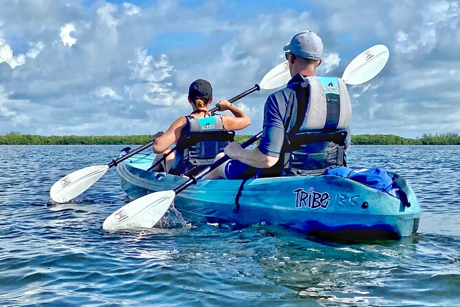 Small Group Kayak Tour of the Shell Key Preserve - Price, group size, and what the $79 includes