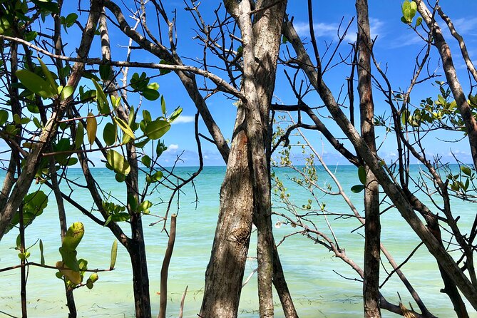 Small Group Kayak Tour of the Shell Key Preserve - How to prepare for sun, water, and wind