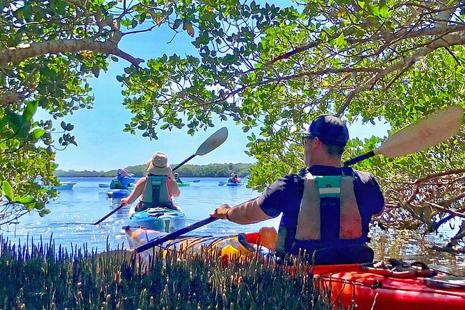 Small Group Kayak Tour of the Shell Key Preserve - Who will enjoy this Shell Key kayak tour
