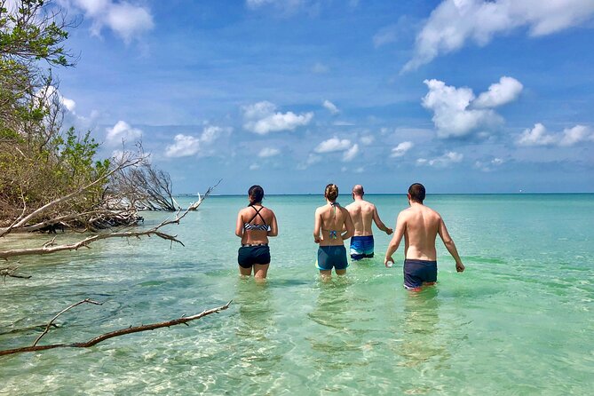 Small Group Kayak Tour of the Shell Key Preserve - What the three-hour route feels like