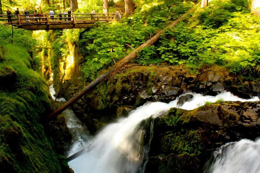Small Group: Olympic National Park Day Tour From Seattle - The backup route when the mountain is closed