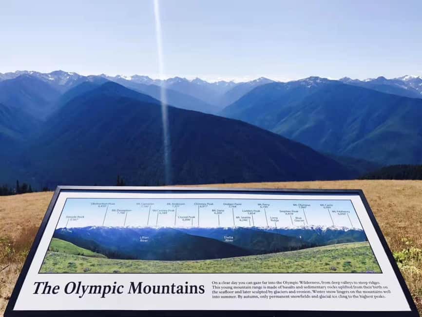 Small Group: Olympic National Park Day Tour From Seattle - Hurricane Ridge: the day’s high point