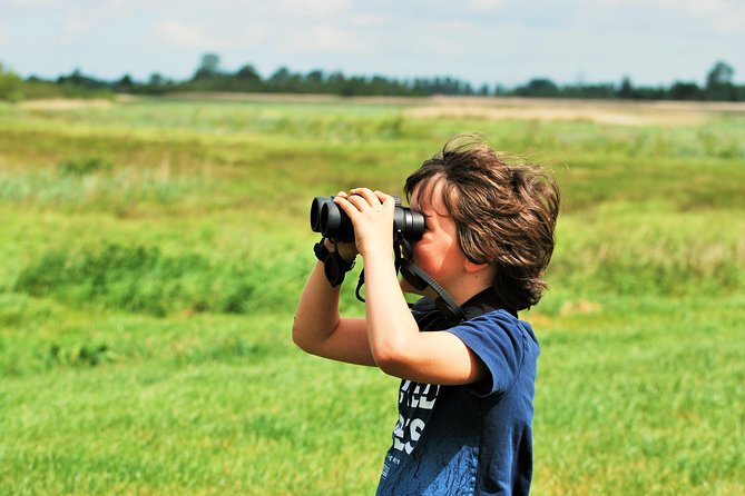 Small Group Tour to NP Hoge Veluwe (van Gogh) from Amsterdam - Choosing Jachthuis Sint Hubertus instead