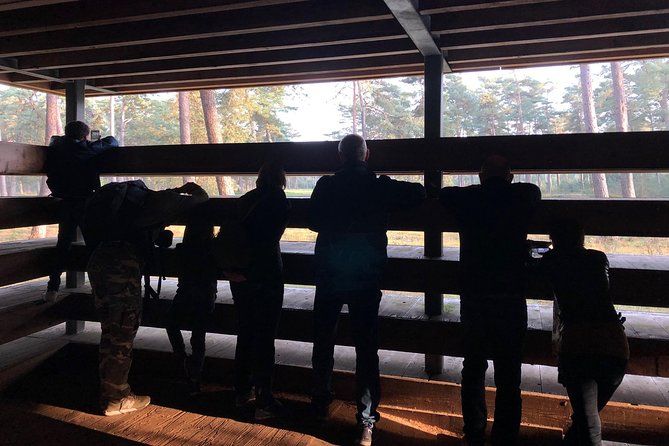 Small Group Tour to NP Hoge Veluwe (van Gogh) from Amsterdam - The guides make the flexible plan work