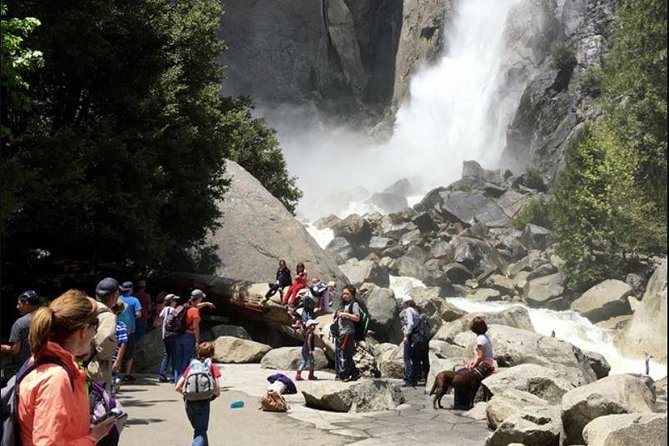 Small Group Yosemite and Giant Sequoias Day Trip from San Francisco - Half Dome and Yosemite Falls fill out the valley visit