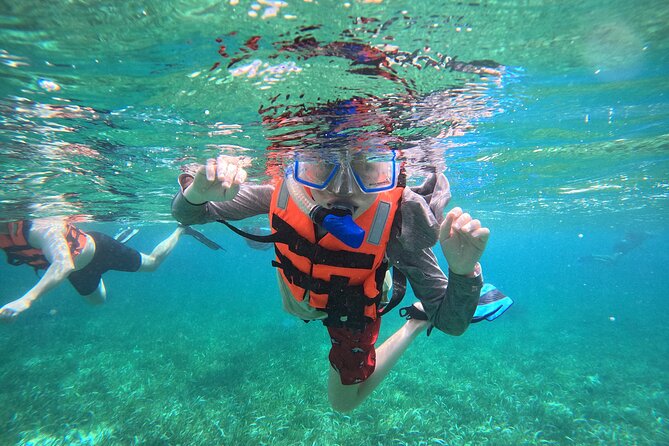 Snorkel at the Reef 2 HOURS Puerto Morelos National park - Key points to know before booking