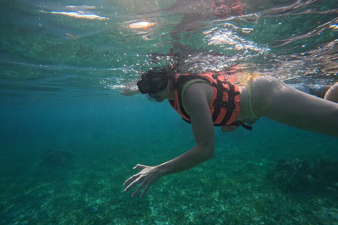 Snorkel at the Reef 2 HOURS Puerto Morelos National park - Puerto Morelos makes a calmer reef base